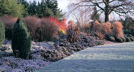 winter-garden